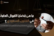 ما هى قضايا الاموال العامة