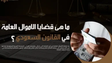 ما هى قضايا الاموال العامة