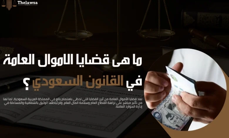 ما هى قضايا الاموال العامة