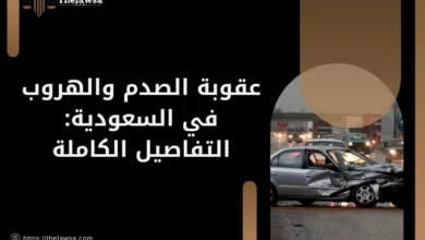 عقوبة الصدم والهروب