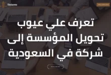 عيوب تحويل المؤسسة إلى شركة