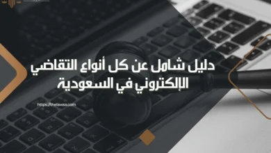 أنواع التقاضي الإلكتروني