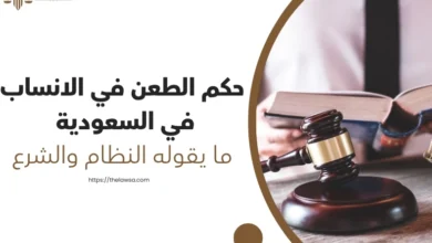حكم الطعن في الانساب