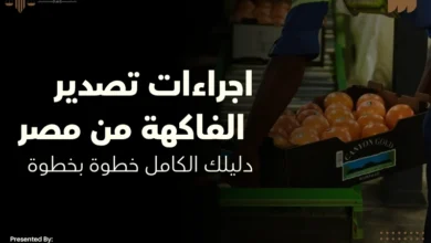 اجراءات تصدير الفاكهة من مصر
