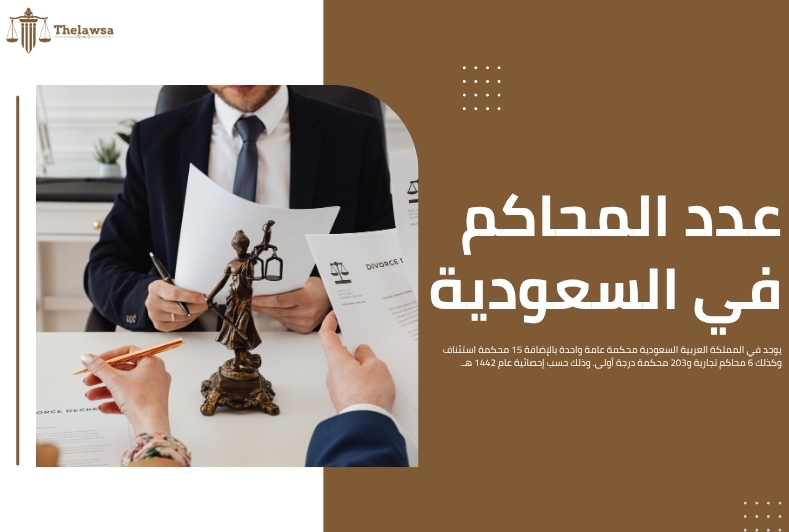 درجات التقاضي في السعودية