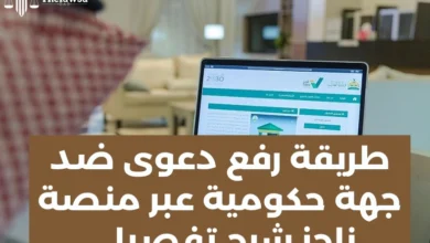 طريقة رفع دعوى ضد جهة حكومية