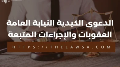الدعوى الكيدية النيابة العامة