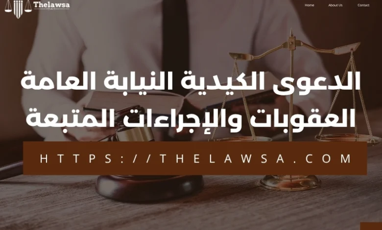 الدعوى الكيدية النيابة العامة