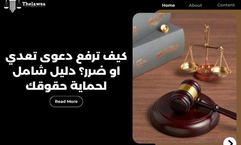 دعوى تعدي او ضرر