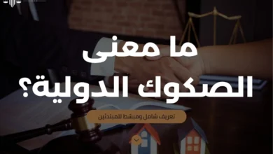 ما معنى الصكوك الدولية