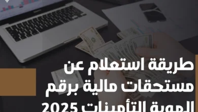 استعلام عن مستحقات مالية برقم الهوية التأمينات