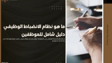 ما هو نظام الانضباط الوظيفي دليل شامل للموظفين