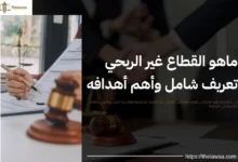ماهو القطاع غير الربحي