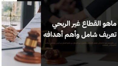 ماهو القطاع غير الربحي