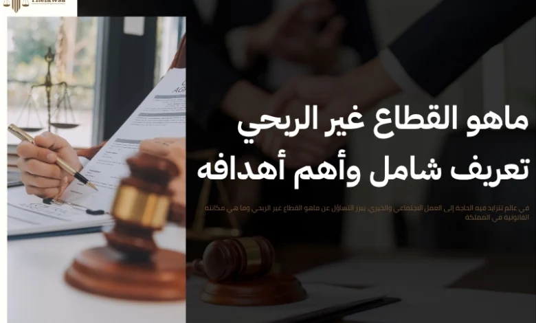 ماهو القطاع غير الربحي