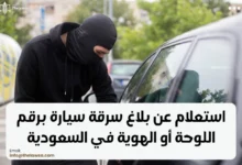 استعلام عن بلاغ سرقة سيارة