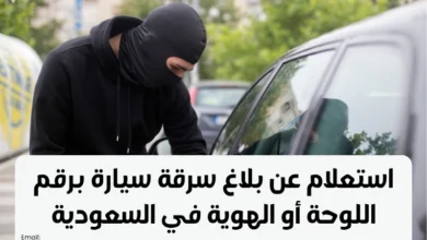 استعلام عن بلاغ سرقة سيارة