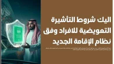 شروط التأشيرة التعويضية للافراد