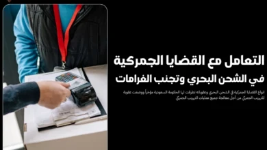 القضايا الجمركية في الشحن البحري